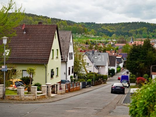 Ruhige Lage mit Blick auf Höchst