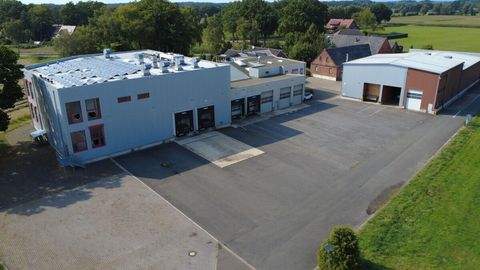 Marienfeld Halle, Marienfeld Hallenfläche