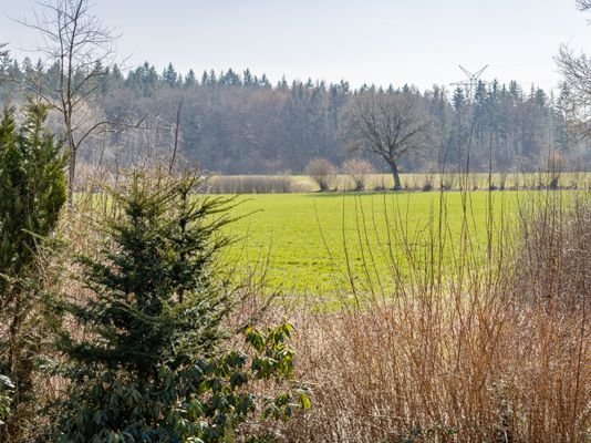 Traumhafte Aussicht 