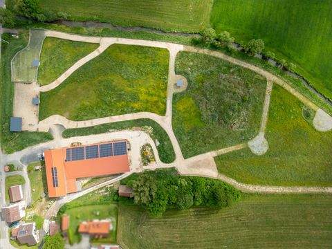 Leonberg Bauernhöfe, Landwirtschaft, Leonberg Forstwirtschaft