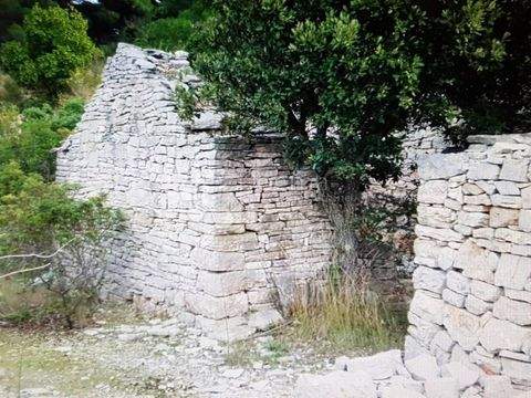 Vis Bauernhöfe, Landwirtschaft, Vis Forstwirtschaft