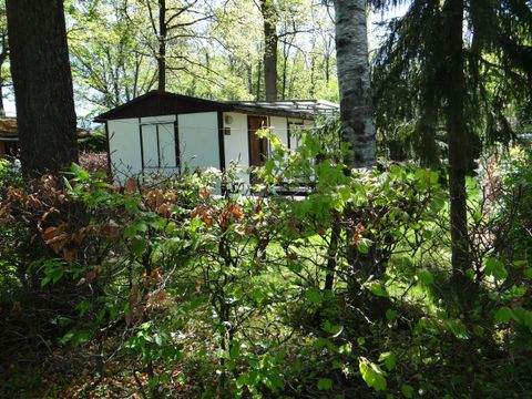 Quitzdorf am See Häuser, Quitzdorf am See Haus kaufen
