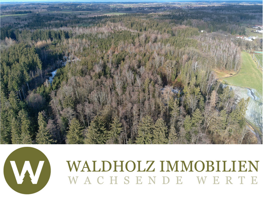 Screenshot 2026-02-26 141638.png