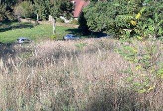 IMG-20261006-WA0004.jpg