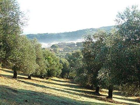 Caldana Grundstücke, Caldana Grundstück kaufen