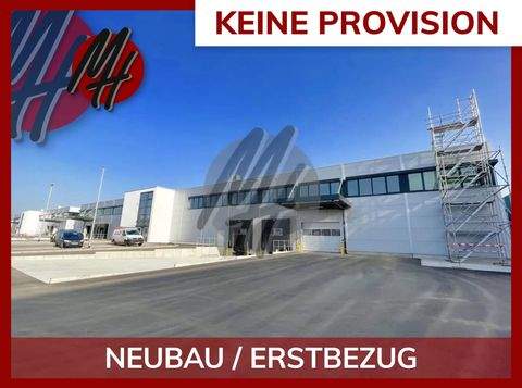 Heidelberg Halle, Heidelberg Hallenfläche