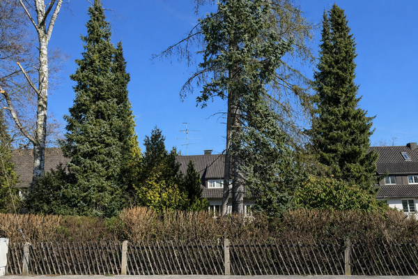 Grundstück von der Straße