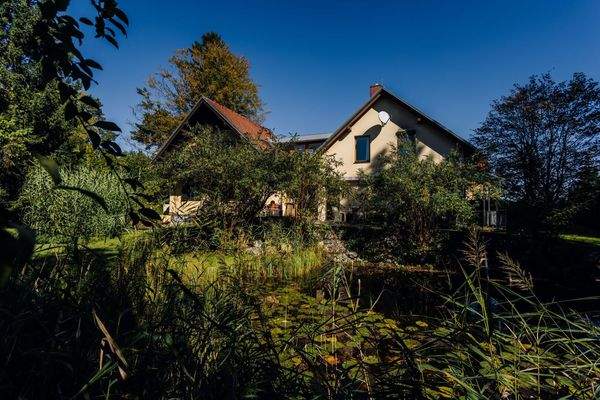 Hinteransicht Schwimmteich
