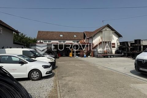 Bilje Halle, Bilje Hallenfläche