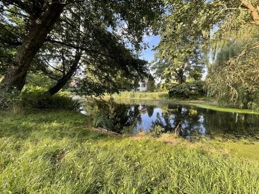 östlich angrenzender Teich