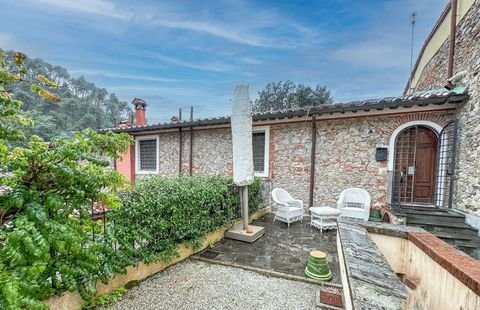 camaiore Häuser, camaiore Haus mieten 