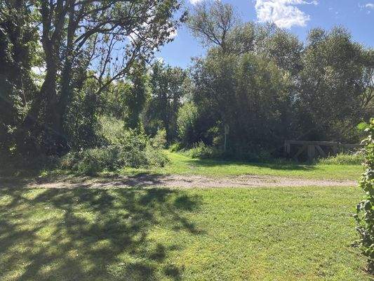 Weg zur Peene hinter dem Garten