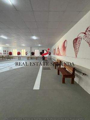 WhatsApp Image 2025-08-27 at 18.00.45 (1).jpeg