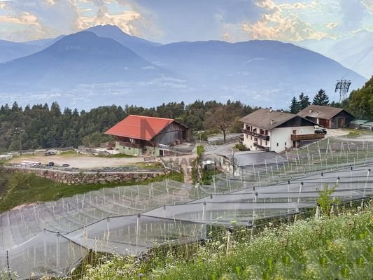 Luftaufnahme geschlossener Hof Steger Vöran