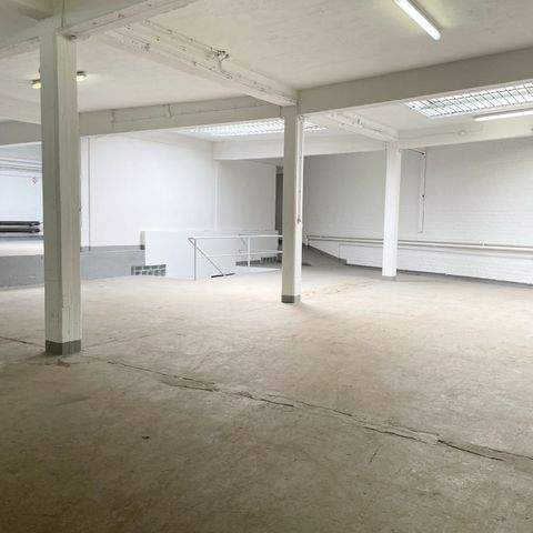 Düsseldorf Halle, Düsseldorf Hallenfläche