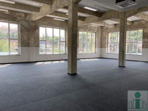 Bautzen Halle, Bautzen Hallenfläche