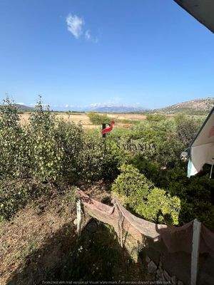 WhatsApp Image 2024-09-06 at 10.30.53.jpeg