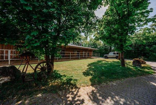 20250514-DSC00331-SJ Photography (Selina Jakob)