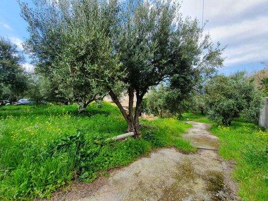 Kreta Sisi - vier Wohnungen in einem großen Garten zur Renovierung