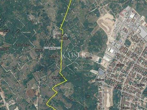 Bokanjac Bauernhöfe, Landwirtschaft, Bokanjac Forstwirtschaft