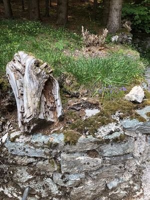Gartendetail I