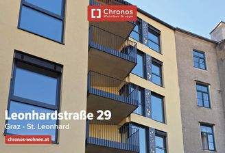 project-leo-29-banne16-willh