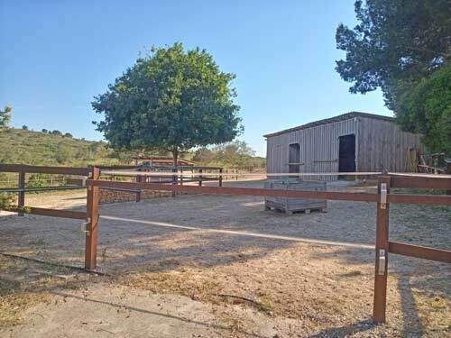 2531 spanien, valencia, montserrat, finca mit pferdestall zu verkaufen