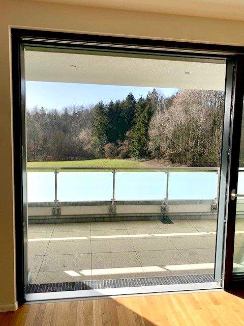 Bad Säckingen Wohnungen, Bad Säckingen Wohnung mieten