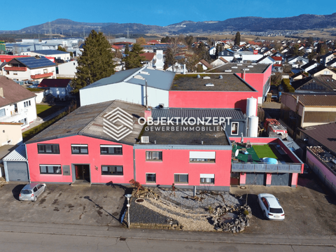 Aldingen Halle, Aldingen Hallenfläche