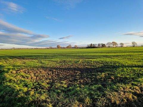 Werl Bauernhöfe, Landwirtschaft, Werl Forstwirtschaft