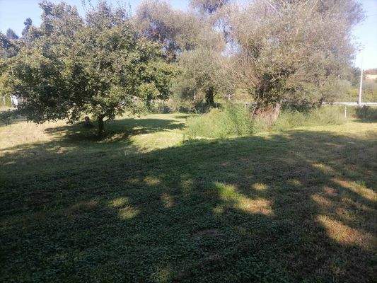 379560995_855950935728028_1812995913341691652_n.jp