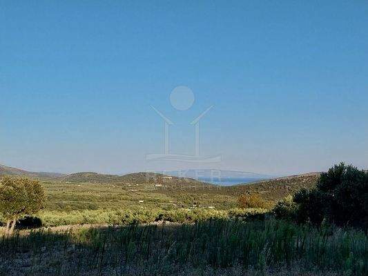  Weitab von der Hektik – Idylle auf 21.000 m²