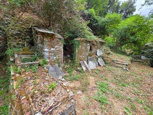 1000083917 - 1K JPEG.jpg