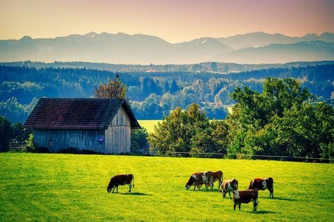 Unteregg Bauernhöfe, Landwirtschaft, Unteregg Forstwirtschaft