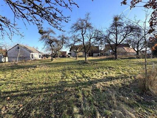 Blick auf die Hofstelle von Westen