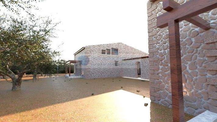 img_6b87849b-2f6f-44af-b340-964050f8fb61