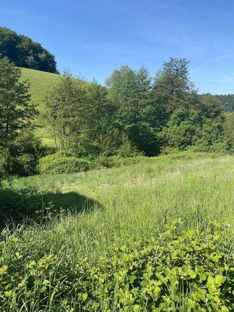 Gorxheimertal Grundstücke, Gorxheimertal Grundstück kaufen