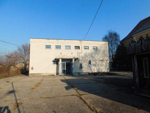 Györ Halle, Györ Hallenfläche