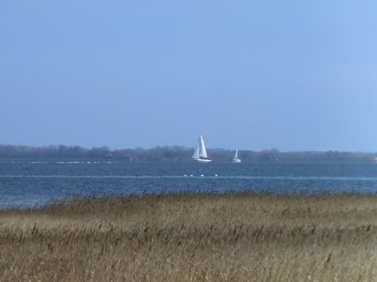 Bodden in Klausdorf.JPG