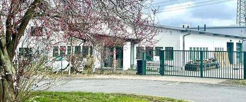 Mühlenbeck Halle, Mühlenbeck Hallenfläche