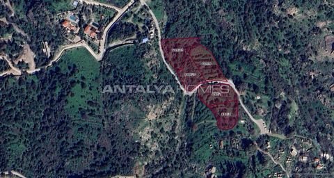 Mugla Bauernhöfe, Landwirtschaft, Mugla Forstwirtschaft