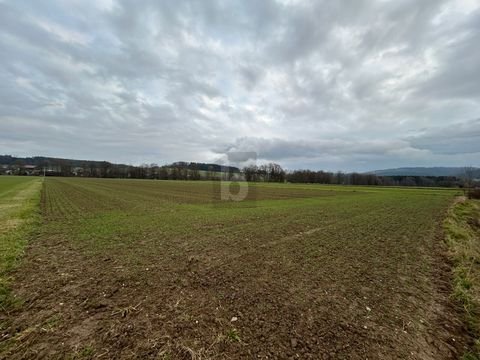 Lochen Bauernhöfe, Landwirtschaft, Lochen Forstwirtschaft