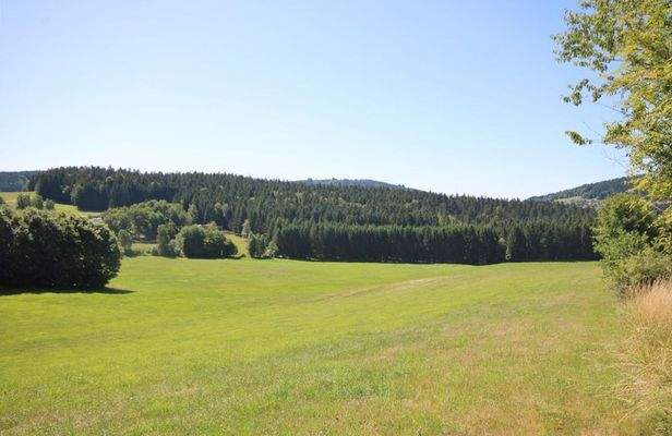 Blick auf das Grundstück