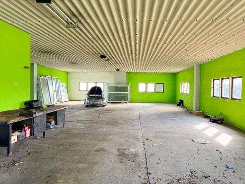 Neustadt Halle, Neustadt Hallenfläche