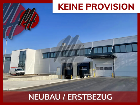 Walldorf Halle, Walldorf Hallenfläche