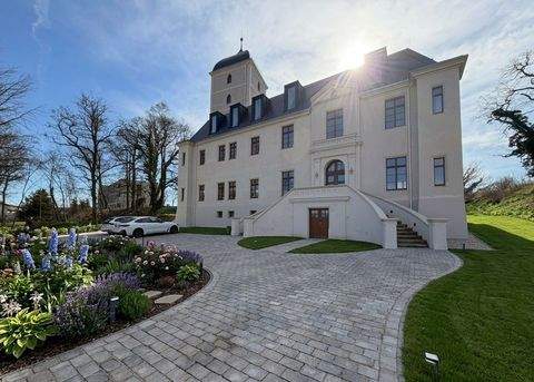 Muldestausee Wohnungen, Muldestausee Wohnung mieten