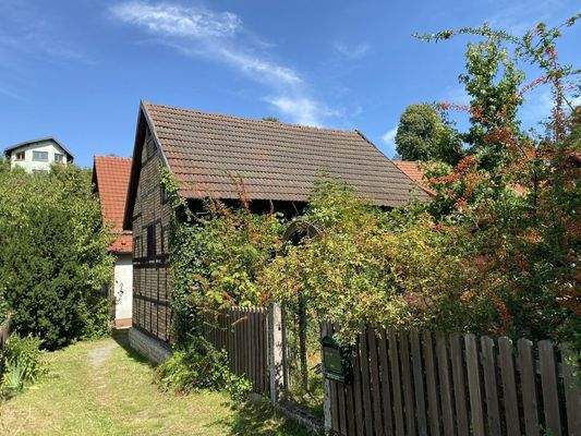 Einfahrt & Eingang Garten