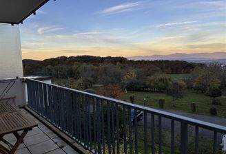 Morgenstimmung vom Balkon aus