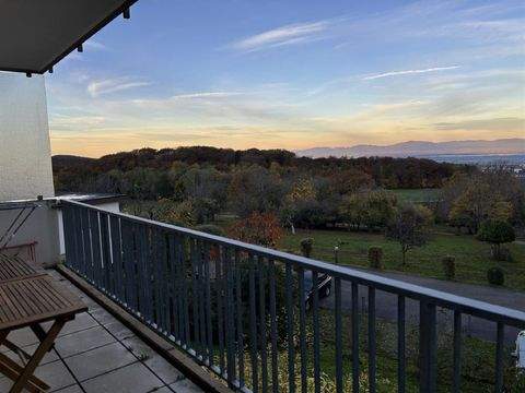 Badenweiler Wohnungen, Badenweiler Wohnung kaufen