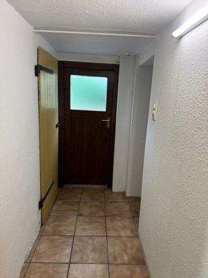 Ausgang Keller in Garten